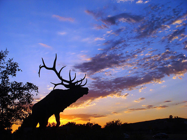 Down Town Elk Grove, California
