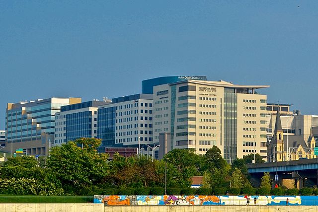 Down Town Grand Rapids, Michigan